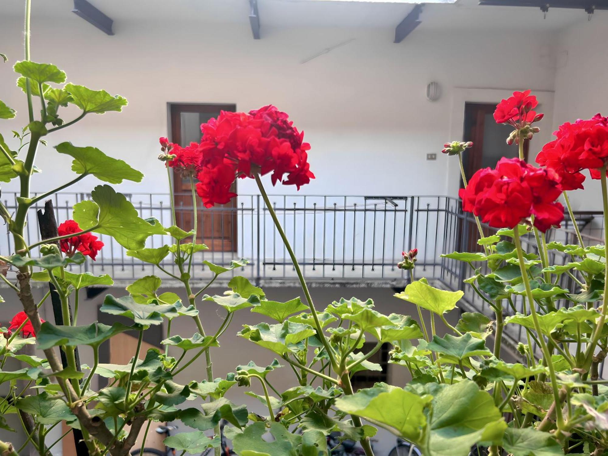 Gorizia Holiday Inn Rastello Suite Екстер'єр фото